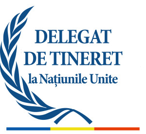 Delegat ONU_RO_jpg-300x275