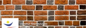 Brick_wall_close-up_view