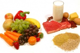 Nutrition 4 youth