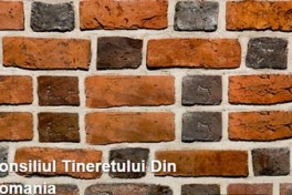 Brick_wall_close-up_view